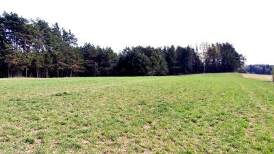 Działka Przejma Wysoka 6338 m2 gm. Szypliszki rolno-budowlana